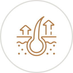 Alt Image